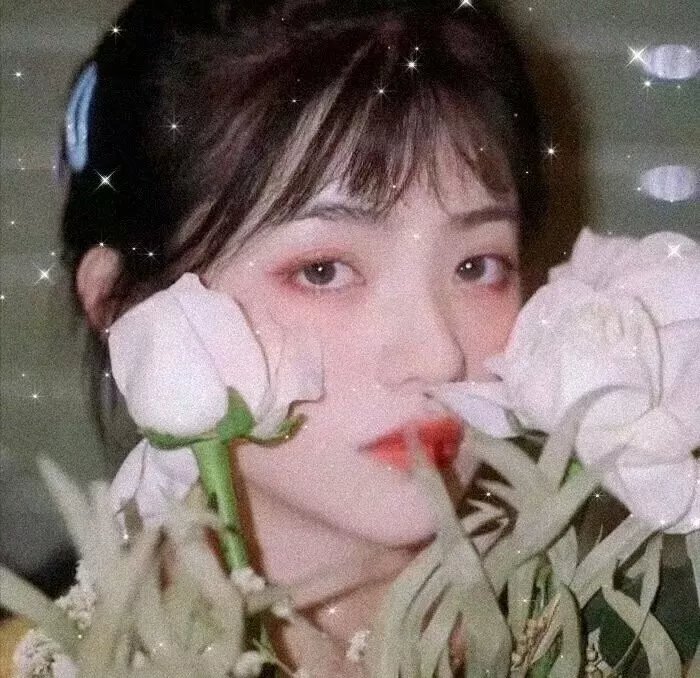 悔把流年抛